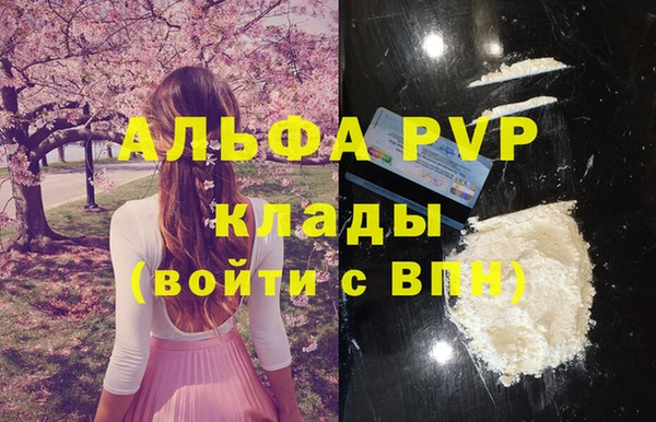 шишки Абаза