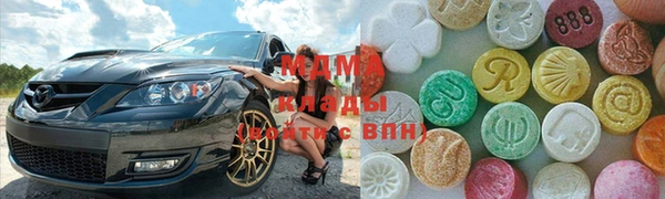 шишки Абаза