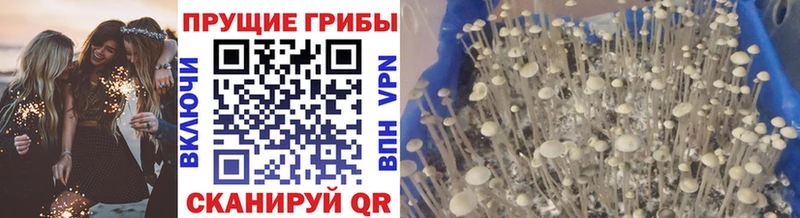 Галлюциногенные грибы мицелий  ссылка на мегу маркетплейс  Шилка 